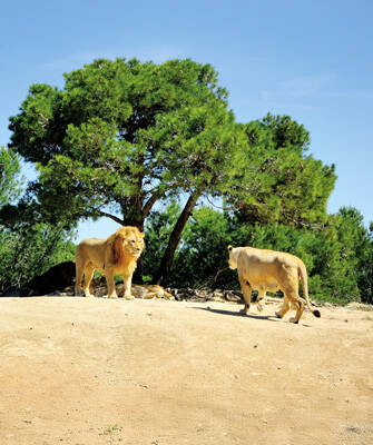 reserve-de-sigean